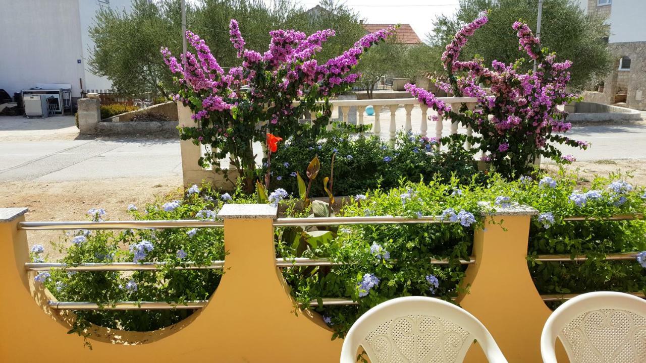 Apartamento Marina Biograd Na Moru Exterior foto